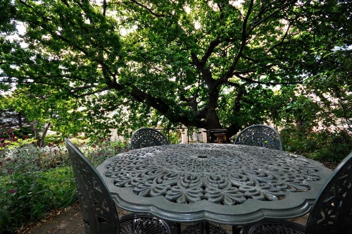 Apartments at York Mansions image 17