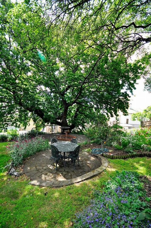 Apartments at York Mansions image 18